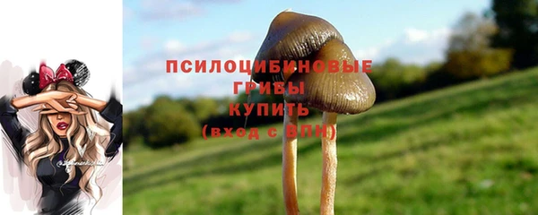 гидра Краснослободск
