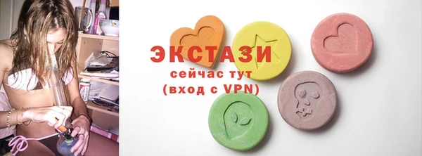 гидра Краснослободск