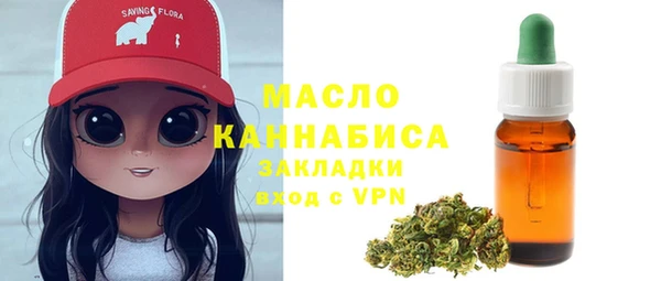 гидра Краснослободск