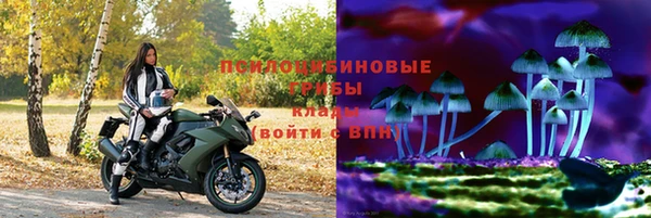 гидра Краснослободск