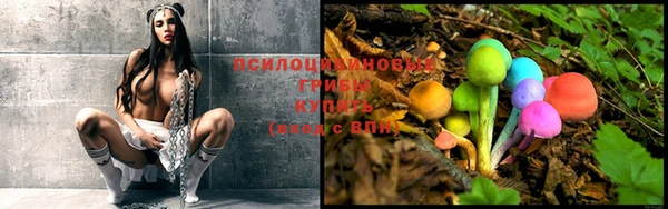 гидра Краснослободск