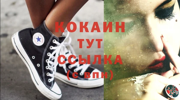 гидра Краснослободск