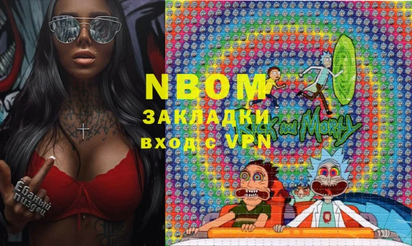 шишки Саяногорск