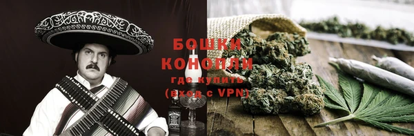гидра Краснослободск
