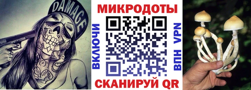 где купить наркоту  кракен сайт  Галлюциногенные грибы ЛСД  Хилок 